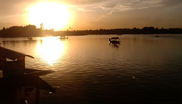 Baazigar - Week 1 :  Kashmir