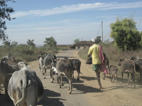 382007_10200101634888666_1012260550_n