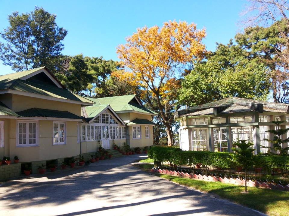 Summer Placements: IIM Shillong - Class of 2015