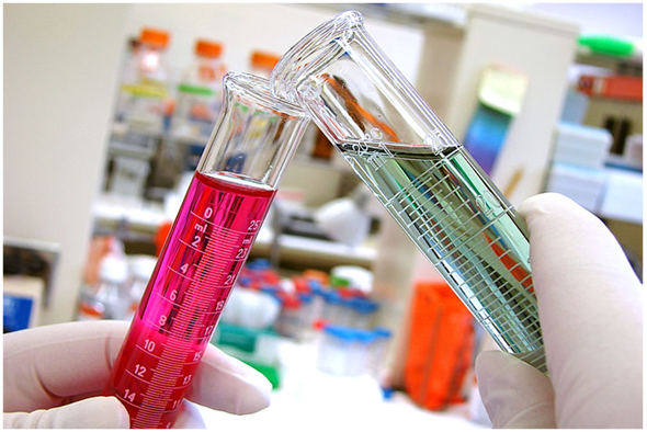 Summing up my Summer: Profitability Analysis for Merck Limited