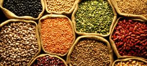 How good or bad is India's Food Security Bill By Sriti, Jatin - IIM Rohtak