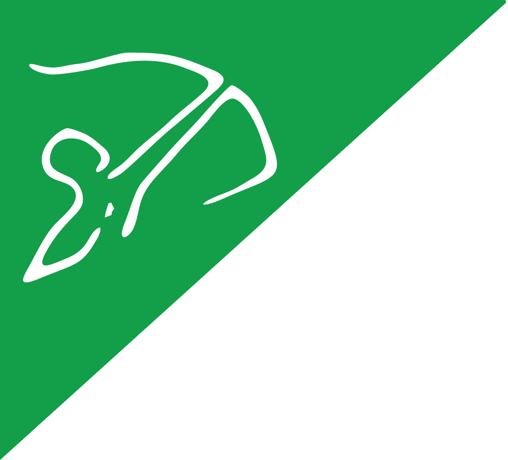 DRONA- A unique mentorship program for future leaders at IRIS 2014