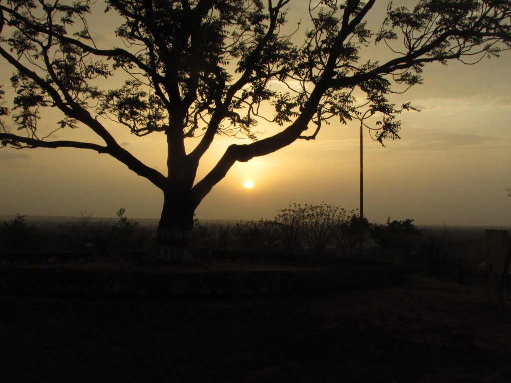 The Diversity that is Planet – I