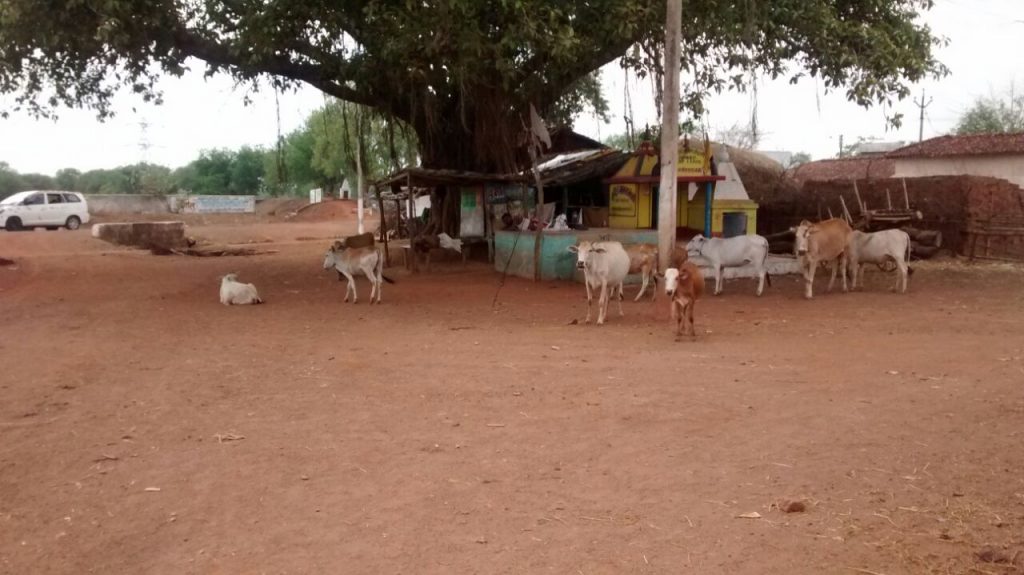 Sales and Marketing Through The Lens Of A Budget Phone Camera