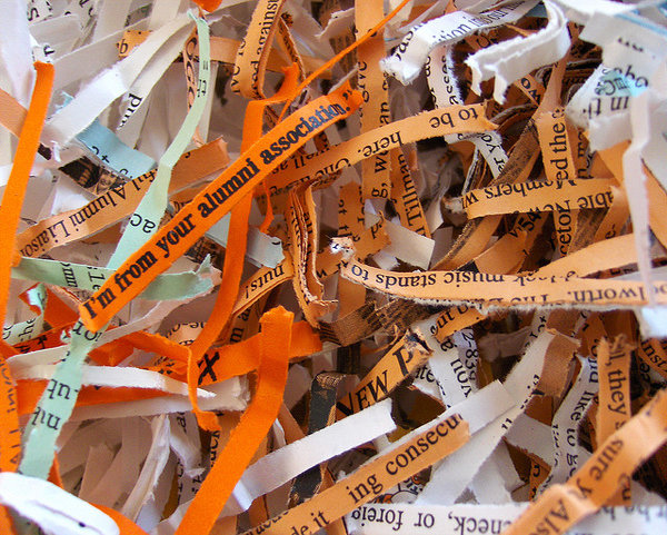 Alumni Report 2015 – Consumer Goods