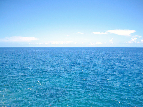 Summer Internship Musings – By Anonymous