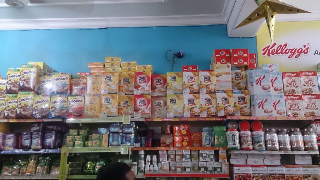 A walk through the streets with CoCo the monkey - Internship at Kellogg's