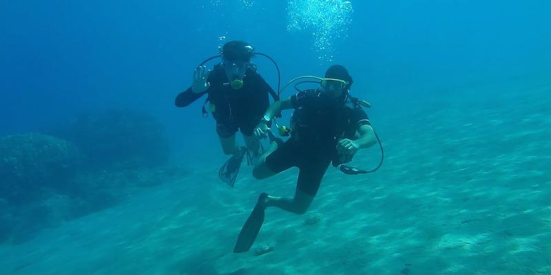 Mojhi - A new way to Discover Adventure - A Start-up By IIM Alumni