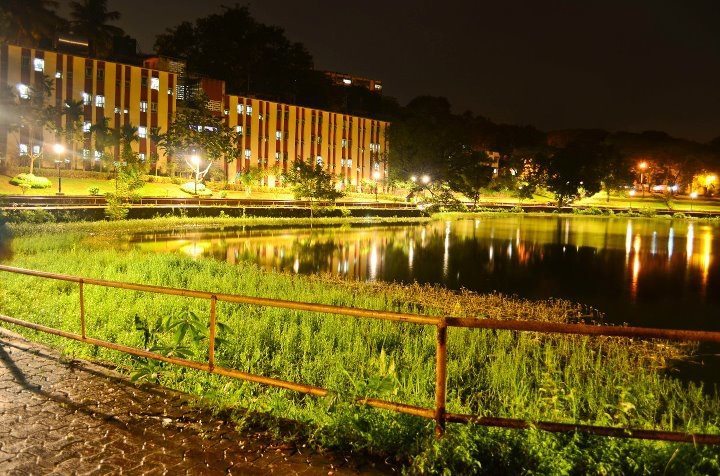 Best Business Brains 2016