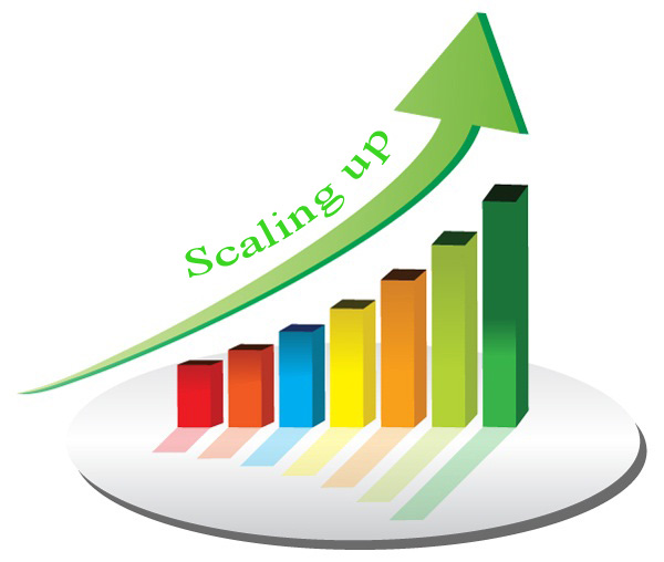 Hey Start Ups, What About Scale Up - Prakash, An IIM Bangalore Alumnus Shares His Views