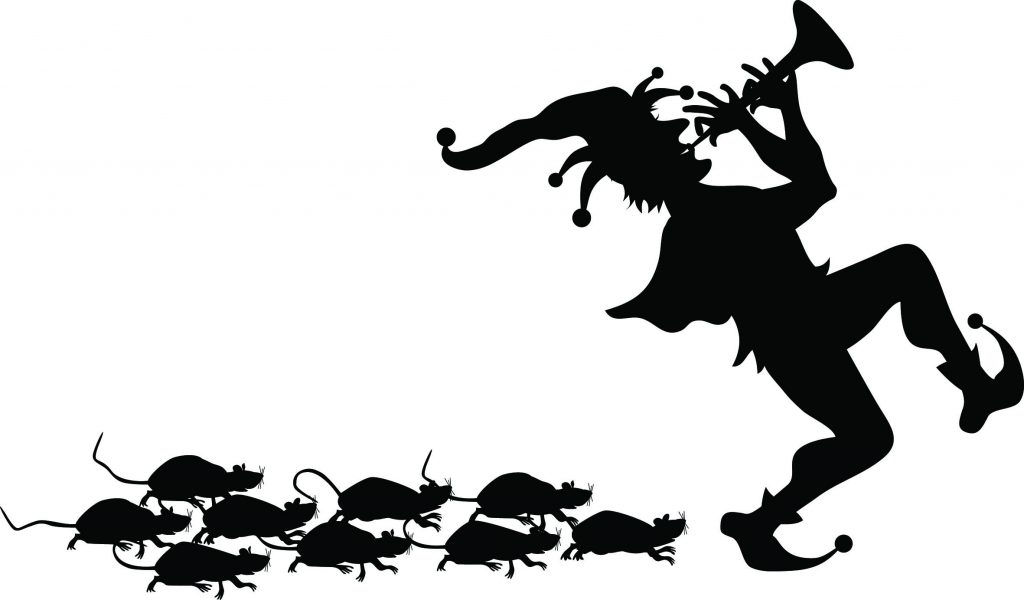 Startups - The Pied Piper