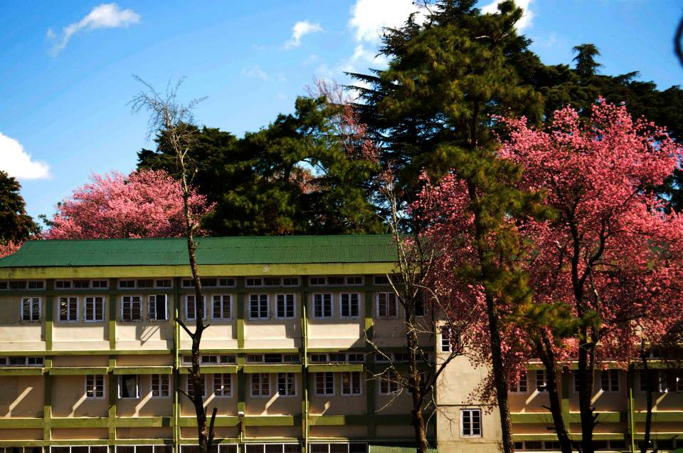 IIM Shillong concludes its Summer Internship process with a 25% increment in the stipend