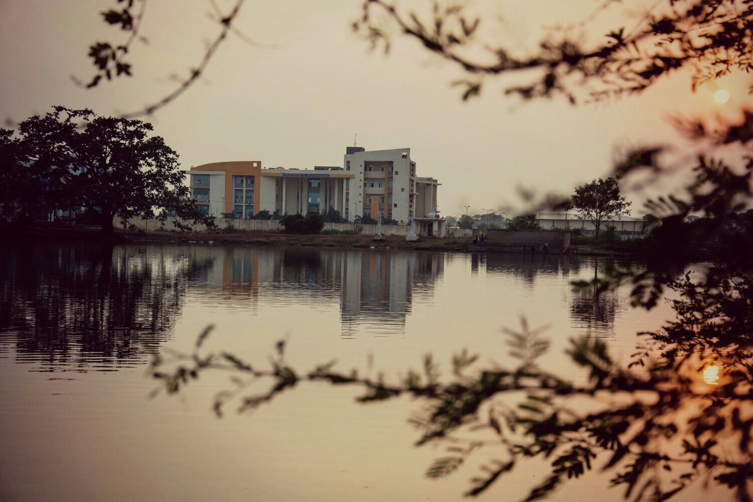 Gender Diversity at IIM Raipur