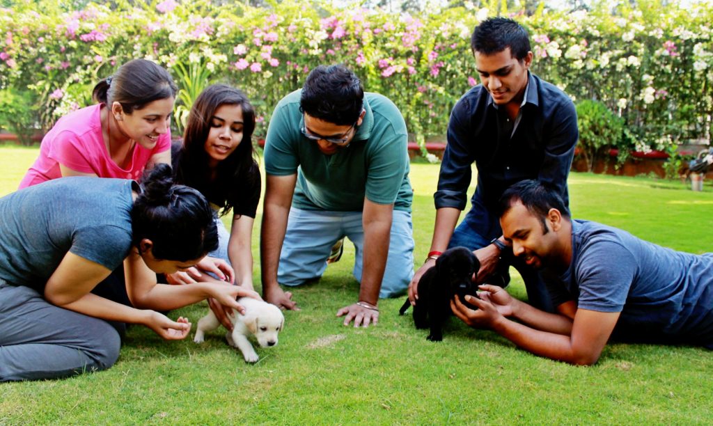 Symbiosis Bangalore Students Can Now Put A ‘Paws’ On Stress