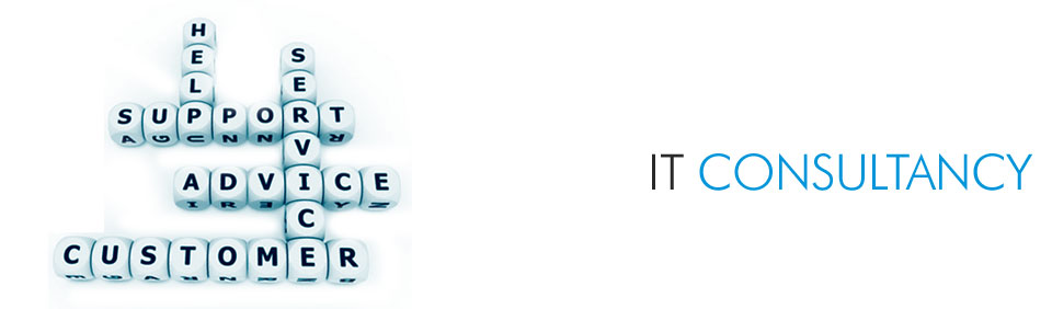 What Does the Software Consultancy Service Offer?