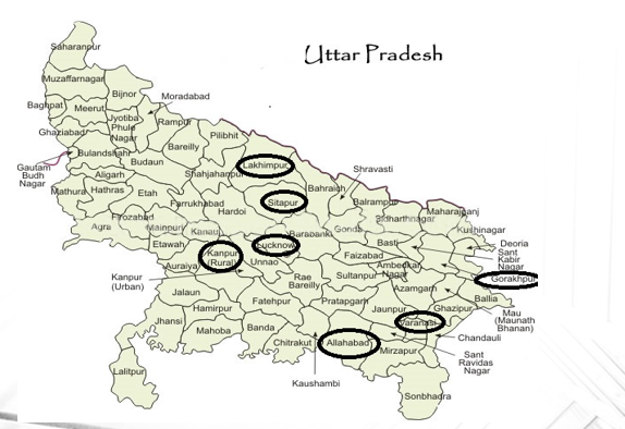 My Summer Internship Experience At Colgate Palmolive - Ayush From IIM Lucknow