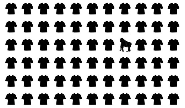 Do You See The Gorilla? - The Case Of Inattentional Blindness In Life At B-Schools