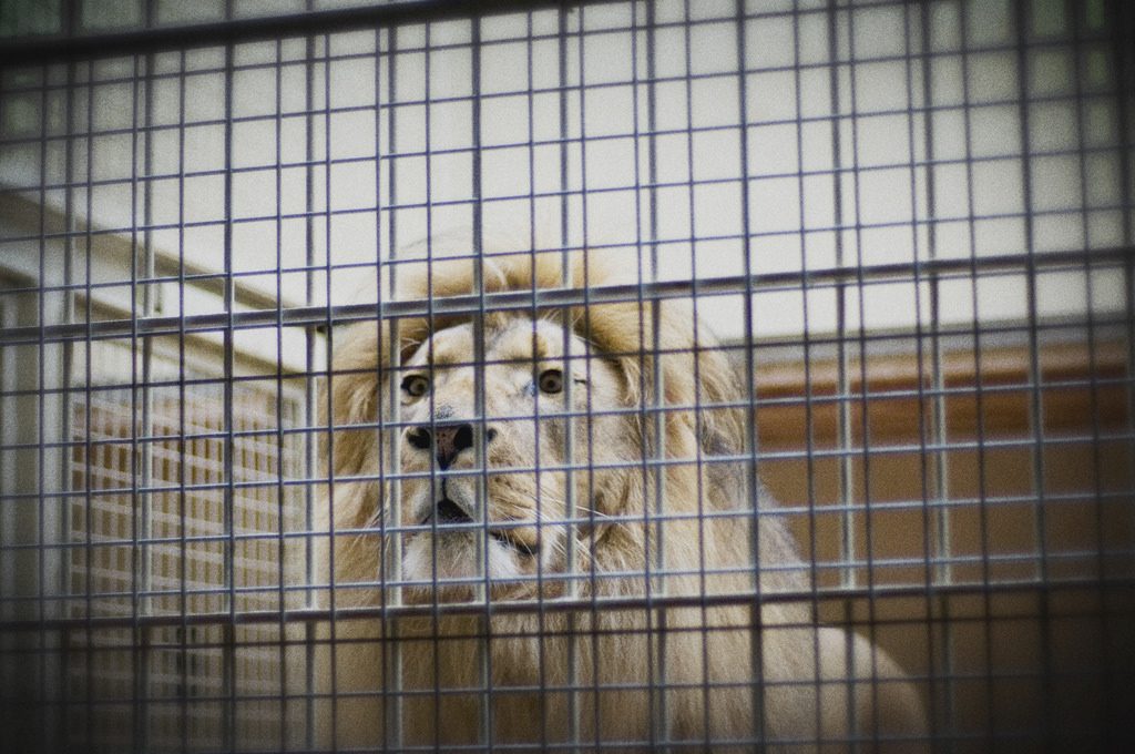 Is Something Holding You Back?