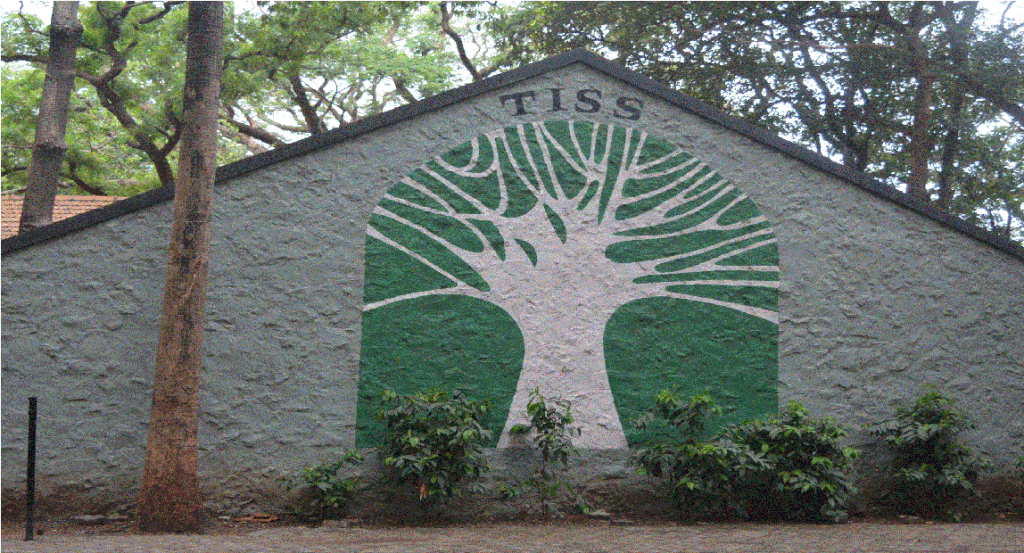 Fieldwork In TISS : The What, Why, And Where - Pooja, TISS Mumbai
