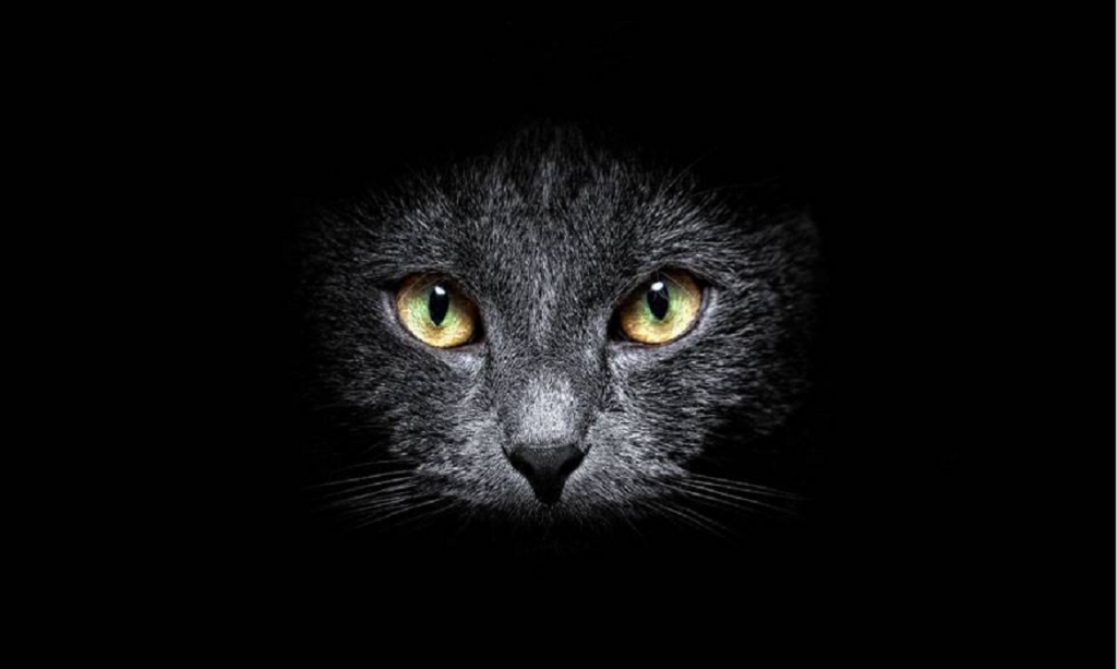 "Mock"ing Your Way Through CAT By Rinku Stephen - IIM Bangalore