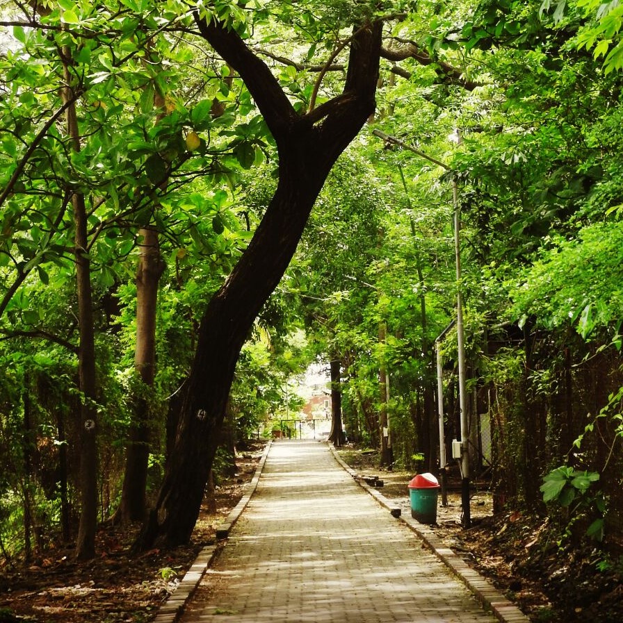 Management Studies With Indian Tadka - Mohammed Afzal, SPJIMR Mumbai