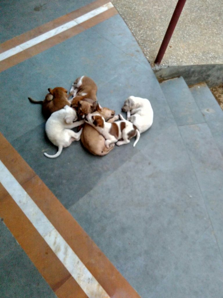 Kane And Abel...With A Twist!