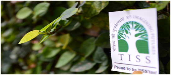 How To Pit Yourself Against TISS PIT - The Pre-Interview Test