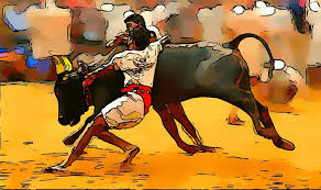 Jallikattu Ban – Unfair Or Justified?