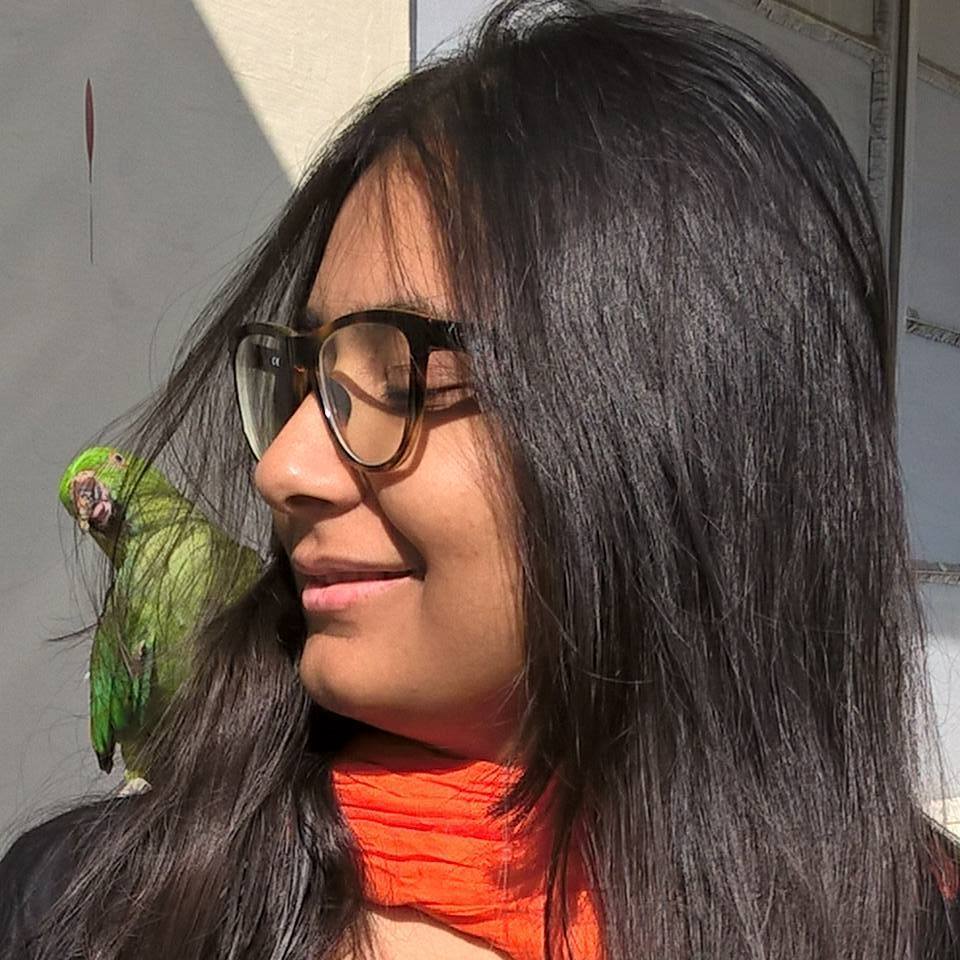 The All Rounder – Roshni Khatri – Celebrating Womanhood Of IMT Ghaziabad