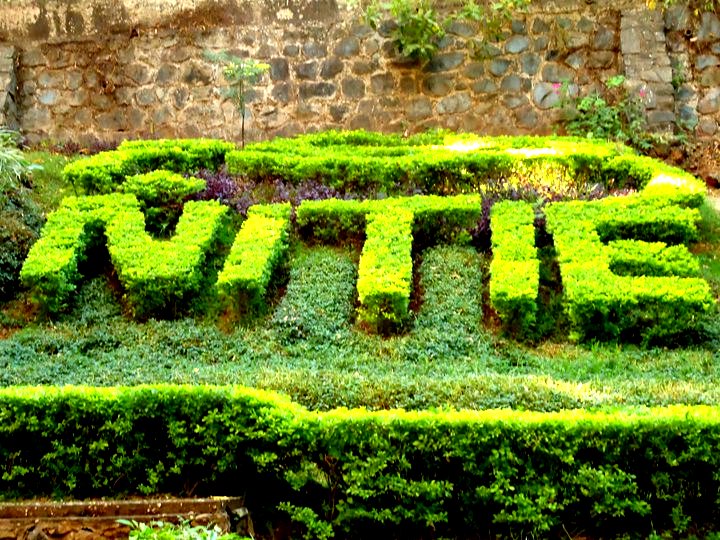 Summer Placements - Class Of 2018 - NITIE Mumbai