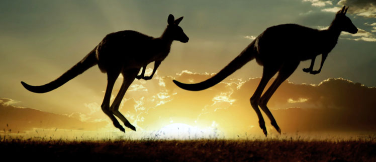 Study Abroad - MBA In Australia