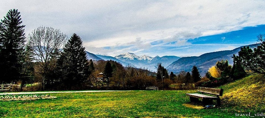 My Journey From Europe To Tangra - A Village In Punjab – Internship Experience At Simbacart - IIM Sirmaur