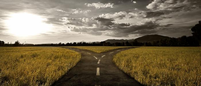 The Importance Of Right Decisions In Management