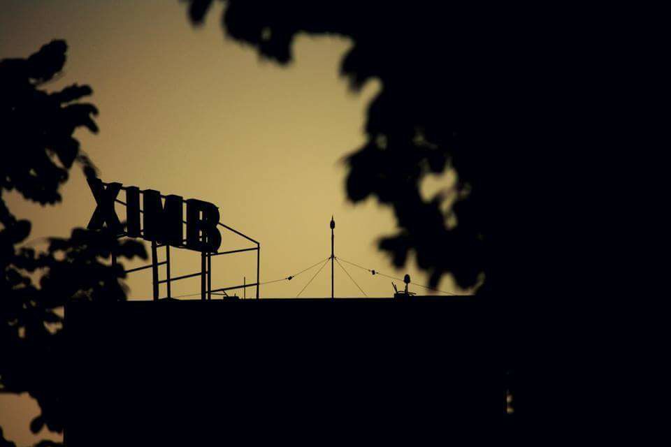 Summer Placements - Class Of 2019 - Master Of Business Finance, Xavier School Of Commerce