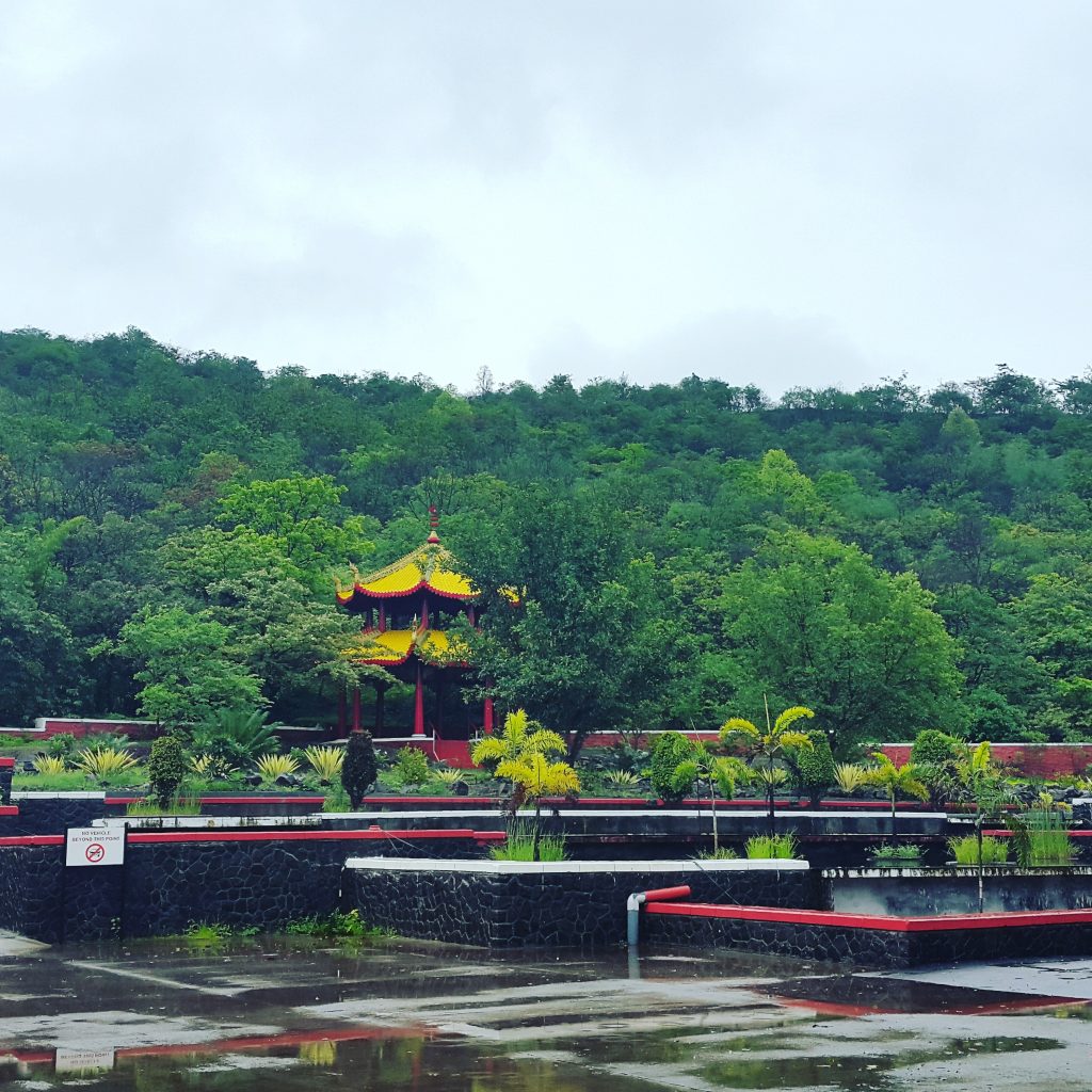 A Student's Love Letter To Symbiosis