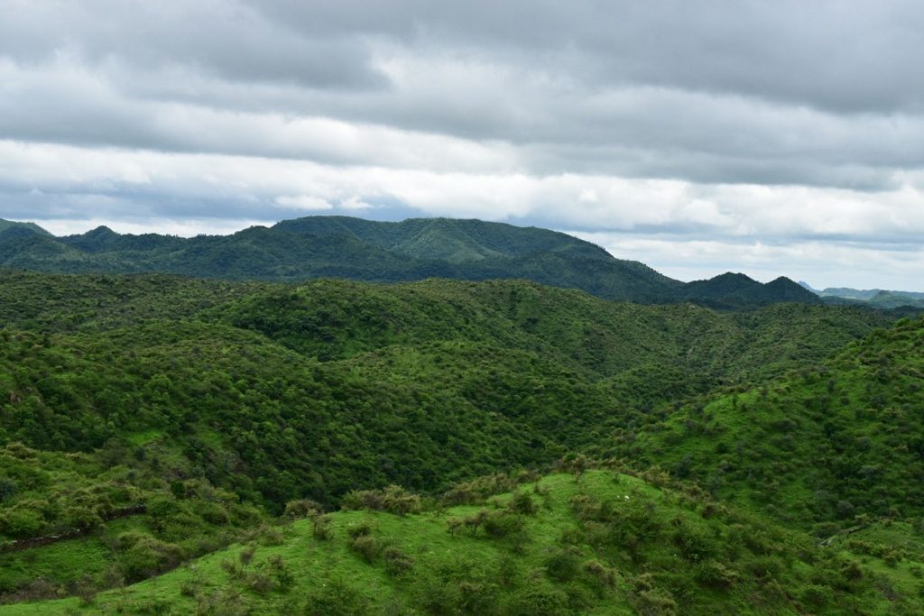 What Does IIM Udaipur Teach You?