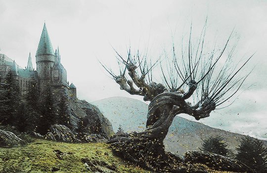 The Life And Lies Of A B-School Student