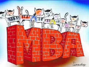 What Happens After CAT?