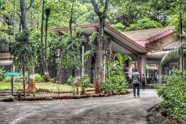 To Good Food, Good Internship And A Good Life - Fieldwork Experience At Nestle - TISS, Mumbai