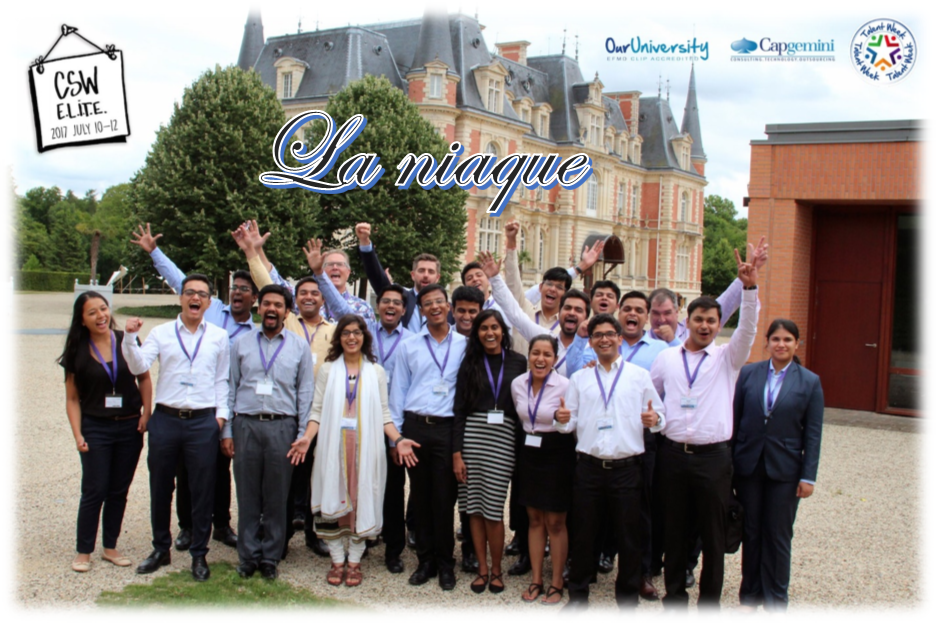 Capgemini's E.L.I.T.E. General Management Program - La Niaque