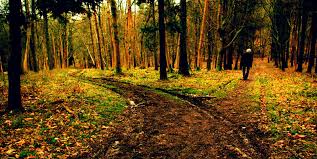 Cherishing The Road Taken - Shiladitya Kar's Journey To NMIMS Mumbai