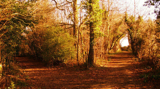 This New Year, Build The Career YOU Want