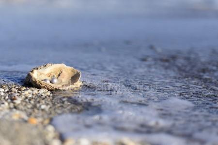 Love In The Time Of MBA - InsideIIM Short Story Corner