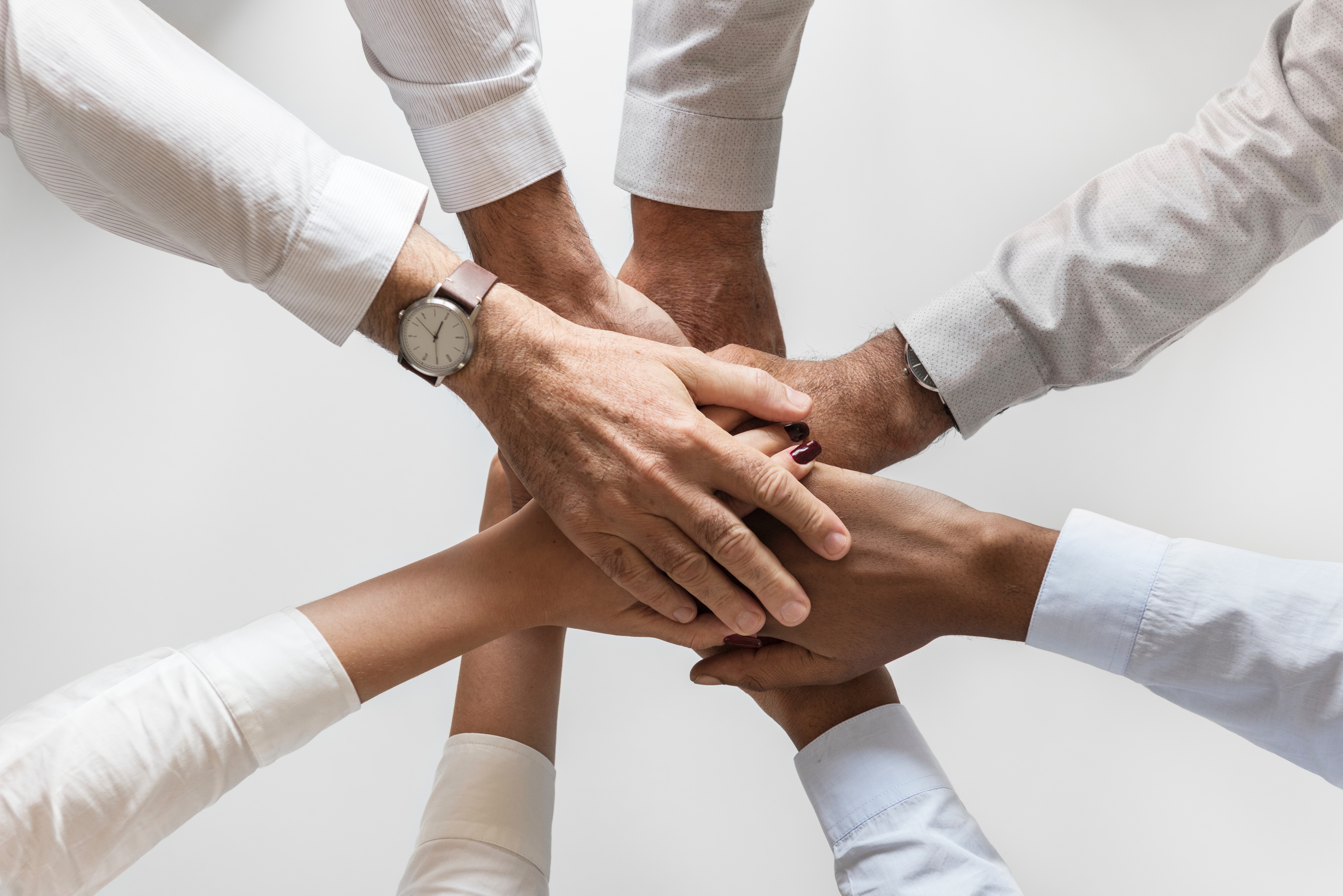 Kinds Of Group Members You Will Find At A B-School - MBA And Group ...