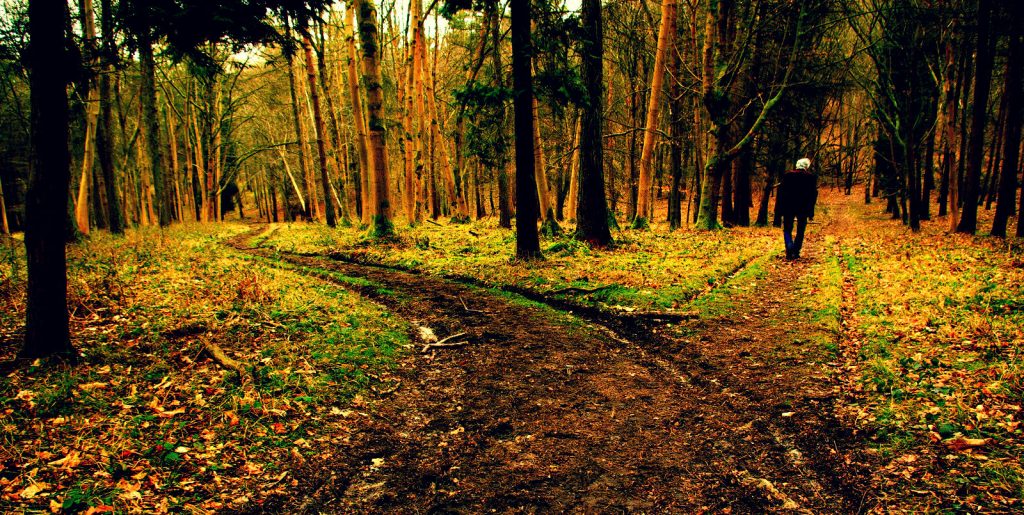 The Road Less Traveled