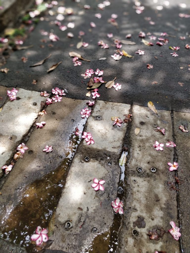 “Re-Imagining Futures” - My TISS Story