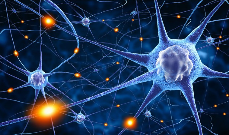 How You Can Rewire Your Brain To Crack CAT