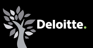 Nishi's Challenging Yet Interesting Summer Internship At Deloitte USI - IFMR