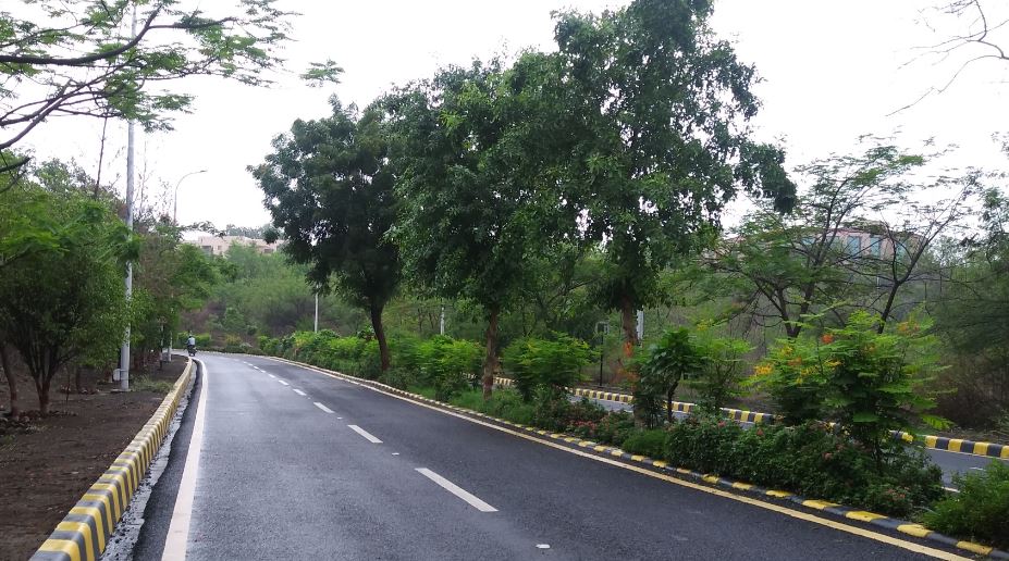 Mozart In The Jungle - IIM Indore