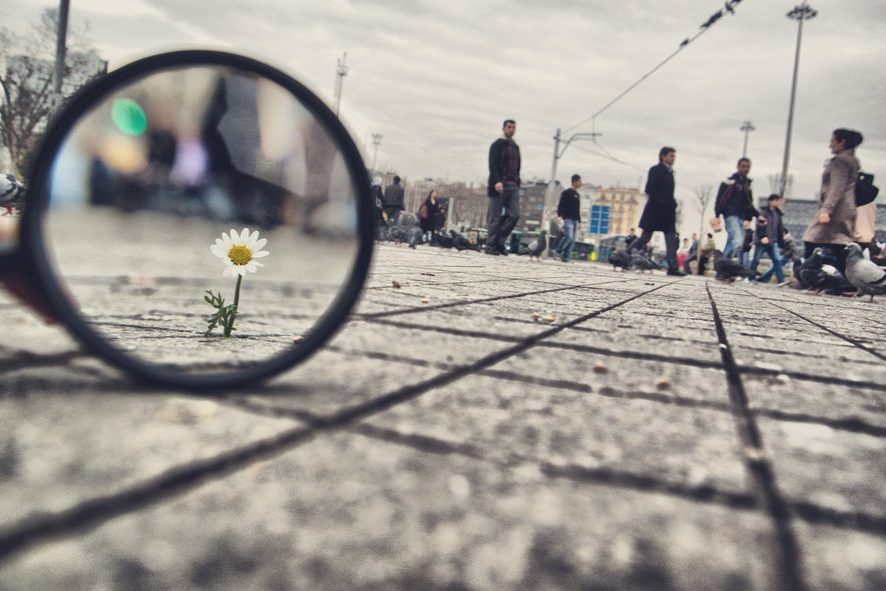 A Month Inside An IIM